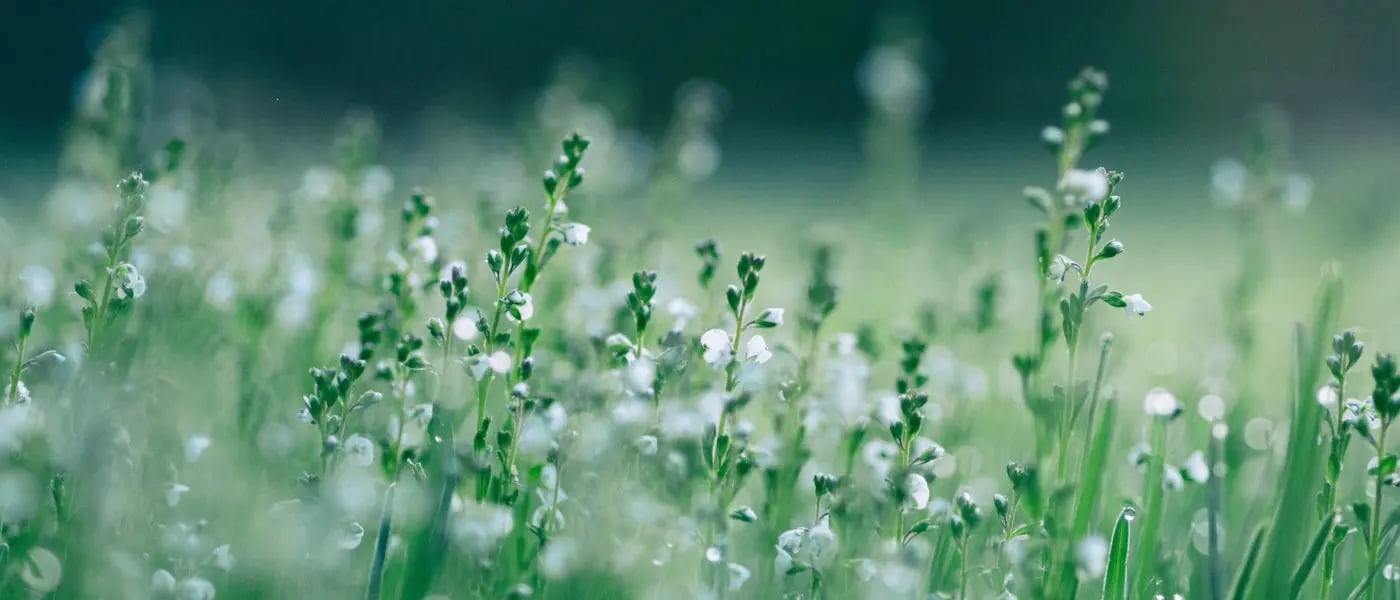 EBA publishes draft amendment to ESG disclosure requirements – the principle of proportionality takes hold