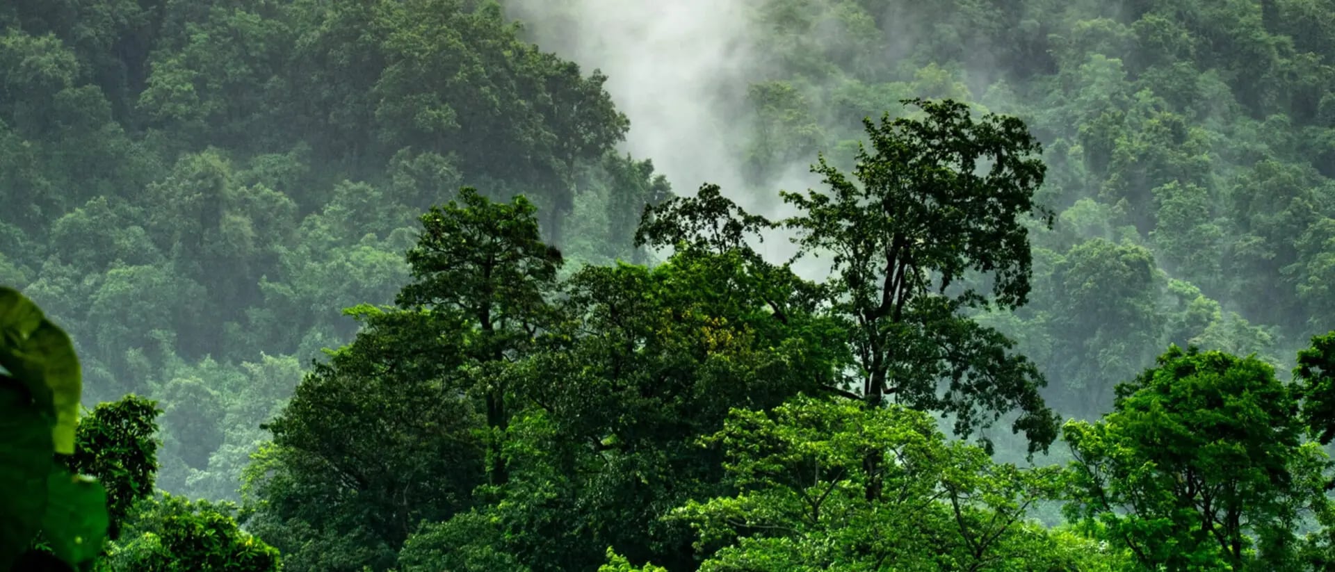 IFRS Sustainability Disclosure Standards – Meilenstein globaler Nachhaltigkeits-Berichterstattung