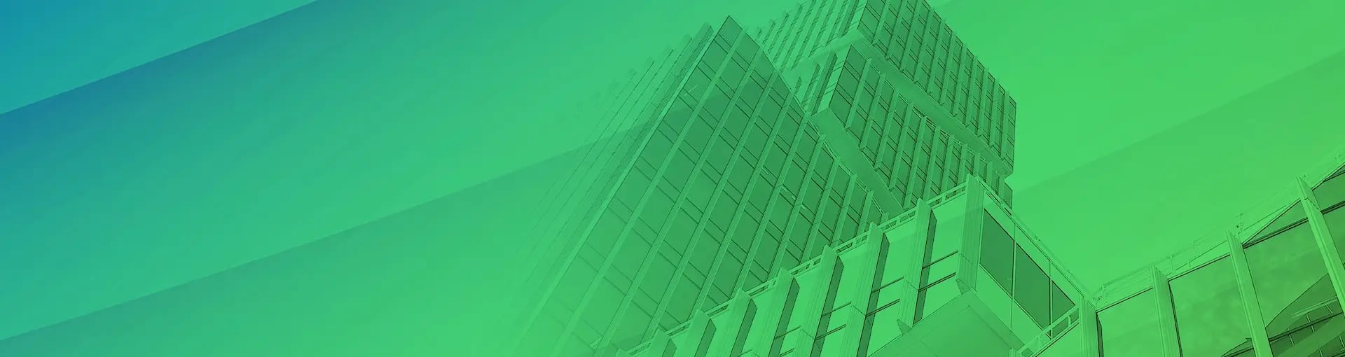 Asset & Treasury Management