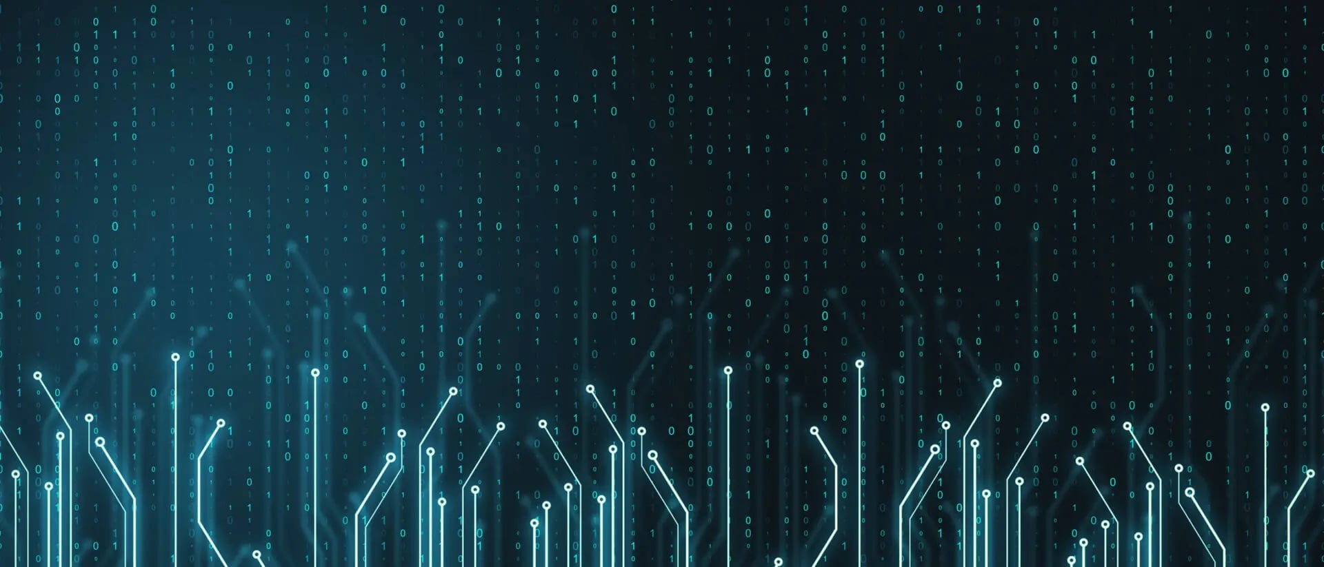 Data management with msg.ORRP