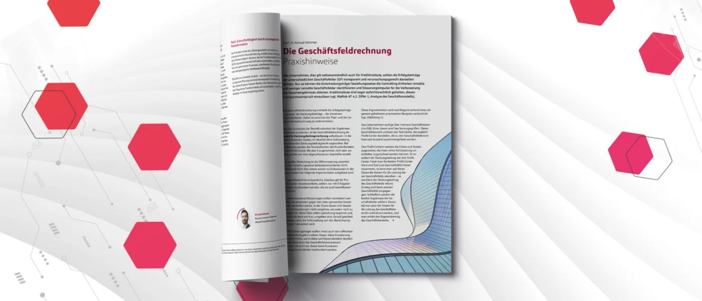 Die Geschäftsfeldrechnung: Praxishinweise