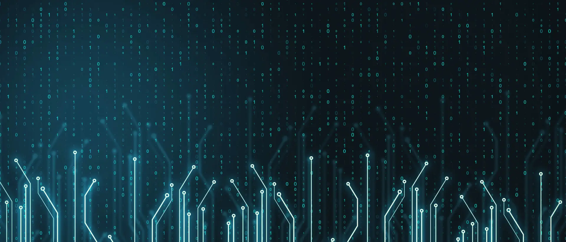 Data management with msg.ORRP