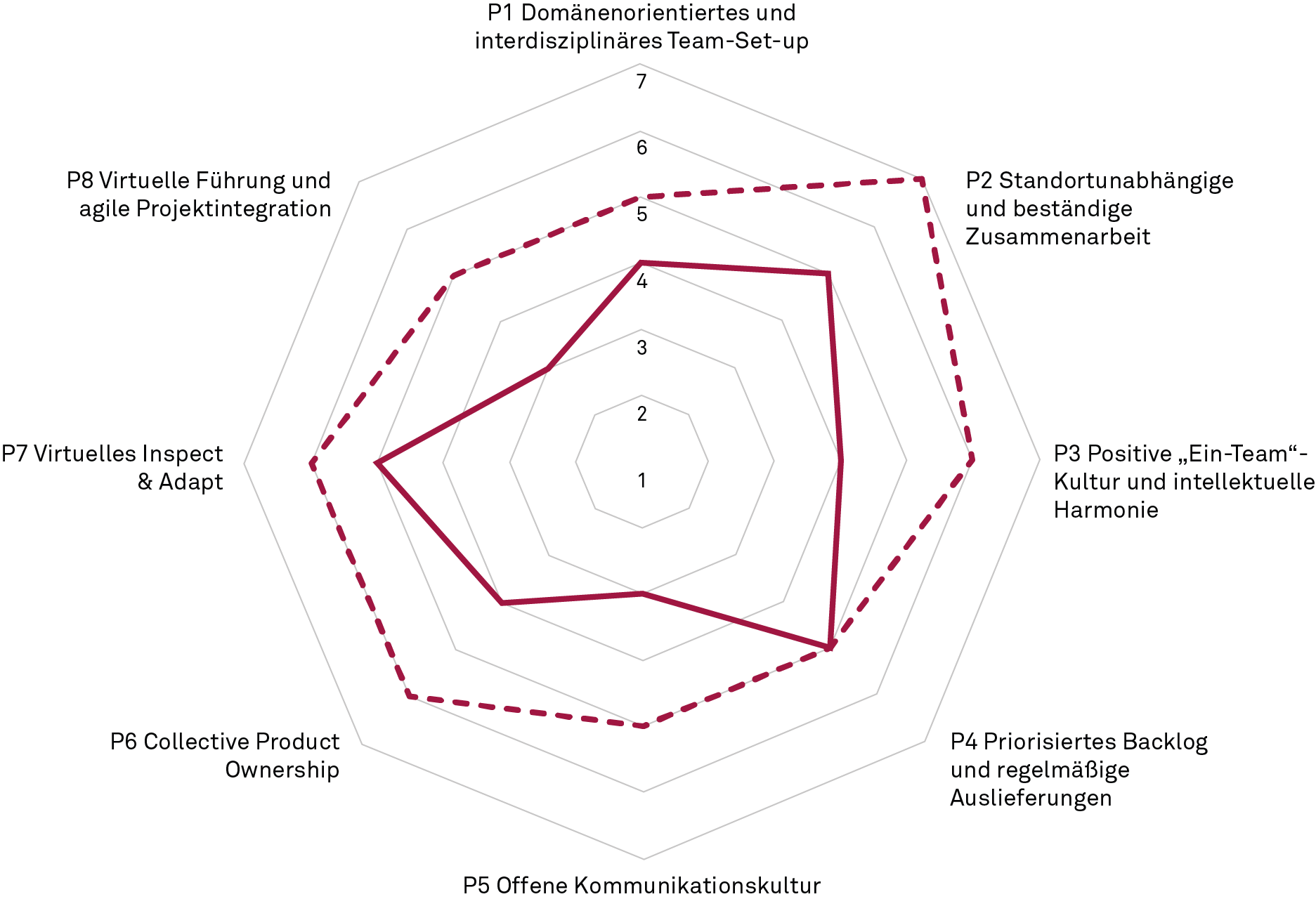 Verteilter agiler Reifegrad