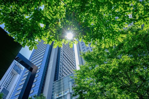 ESG Frankfurt: Hochhäuser in Stadt umgeben von grünen Bäumen