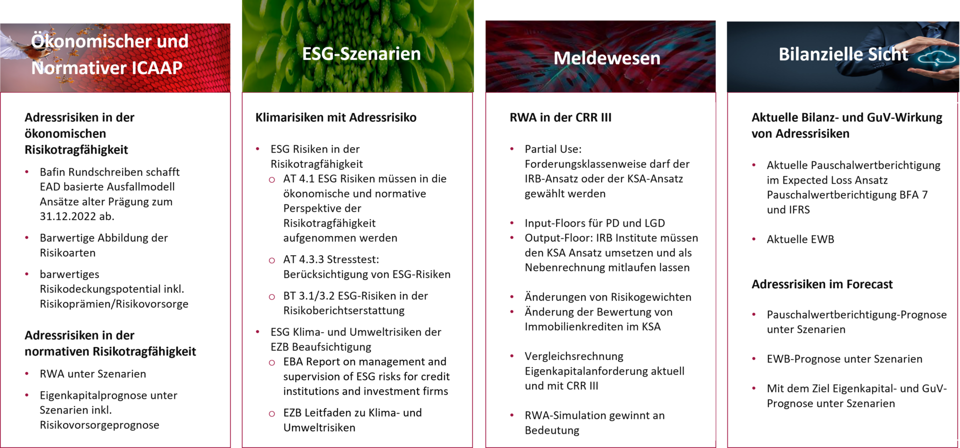 Abbildung 1: Fachliche Einordung der ESG-Klimastresstests im Konzept Adressrisiko, eigene Darstellung