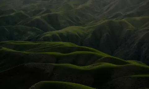 Omnibus zentrale Erkenntnisse