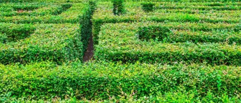 ESG-Risiken strategisch managen