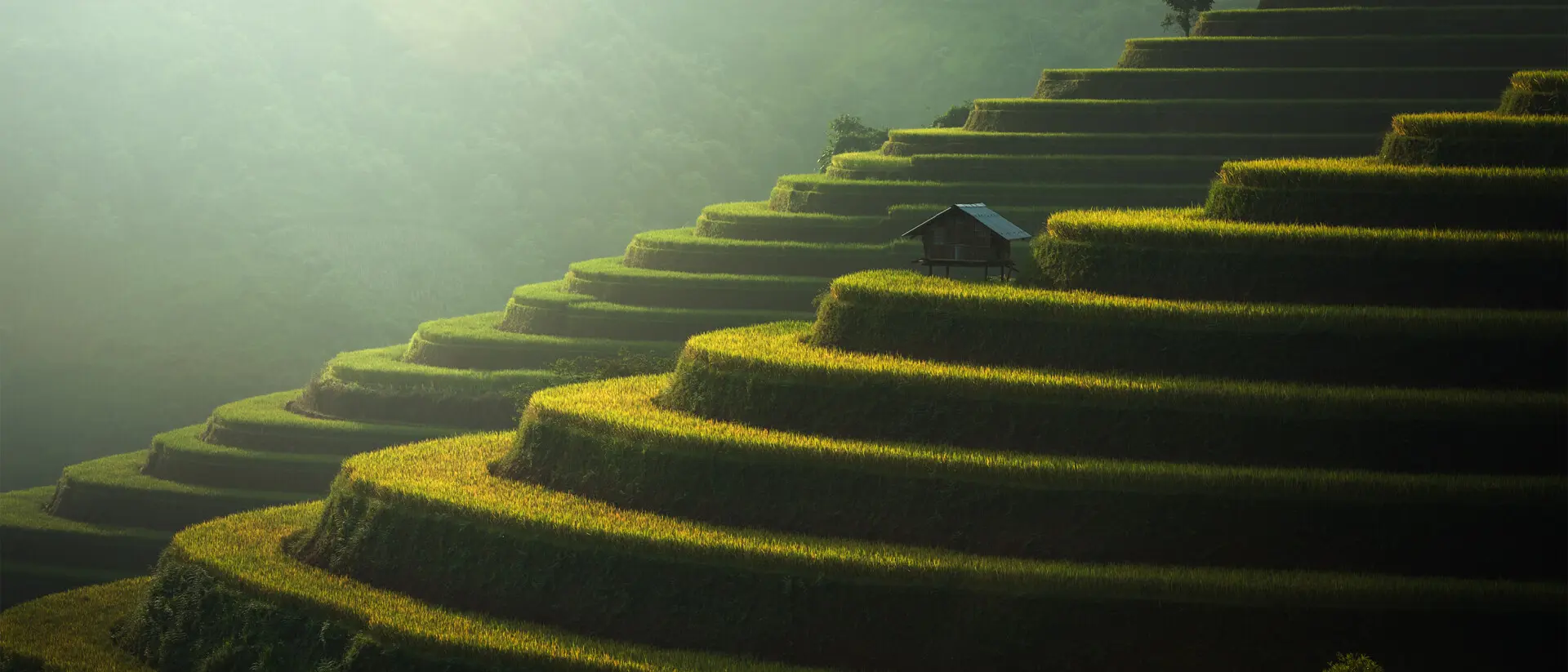 Die wiederaufflammende ESG-Datenlücke bei Banken: Einfluss der Omnibus-Initiative und digitale Lösungsansätze