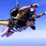 Header Blogartikel: Resilienz frisst Effizienz