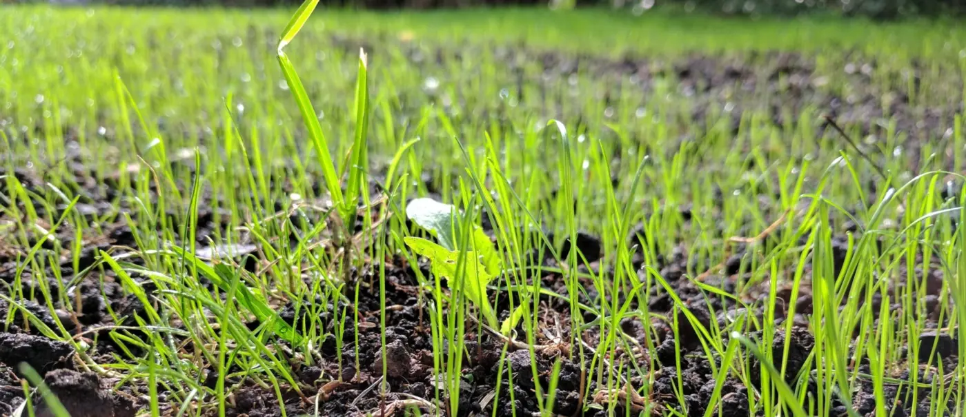 Daten als Fundament: Compliance und Reporting 2026