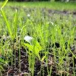 Daten als Fundament: Compliance und Reporting 2026