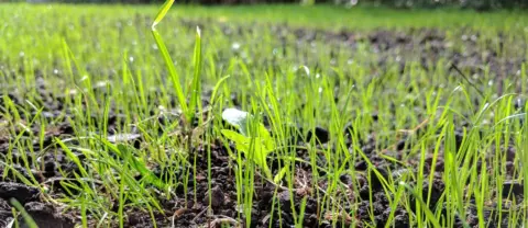 Daten als Fundament: Compliance und Reporting 2026